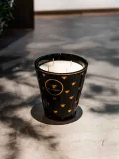 /original/ALCH-1282_CONS_Black_2.png_convert-240x320