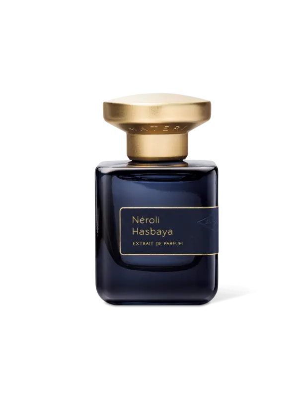 /original/AM14_ATMT_NA_1.png_convert-600x800