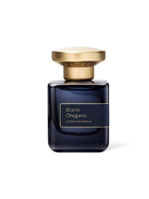 /original/AM16_ATMT_NA_1.png_convert-600x800