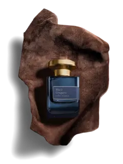 /original/AM16_ATMT_NA_2.png_convert-240x320