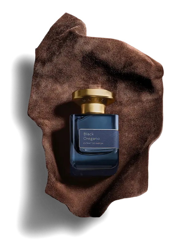 /original/AM16_ATMT_NA_2.png_convert-600x800