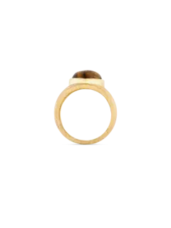 /original/ARCQALBMAXTIG_CONS_TigerYG_3.png_convert-240x320