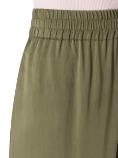 /original/ATRHS2442_ALTR_Chive_4.PNG_convert-240x320