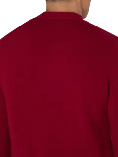 /original/AXN008051_CDGP_4 Burgundy_5.png_convert-240x320