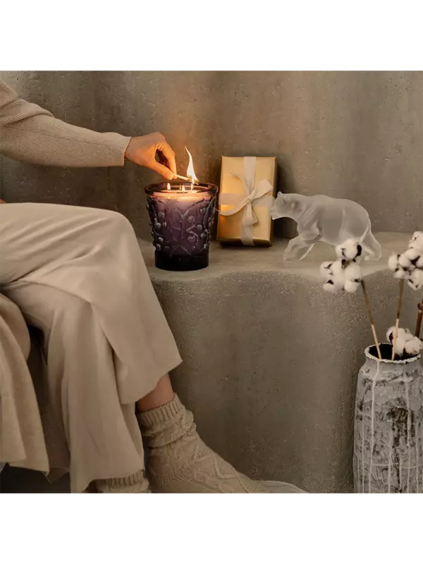 /original/B14600_CONS_LILAC_2.png_convert-600x800