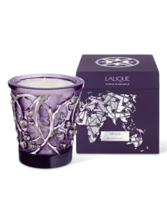 /original/B14600_CONS_LILAC_3.png_convert-240x320