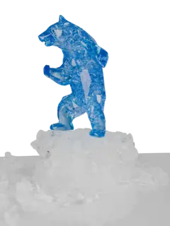 /original/BEAR_RIOR_Blue_2.png_convert-240x320