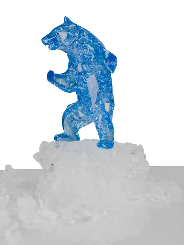 /original/BEAR_RIOR_Blue_2.png_convert-600x800