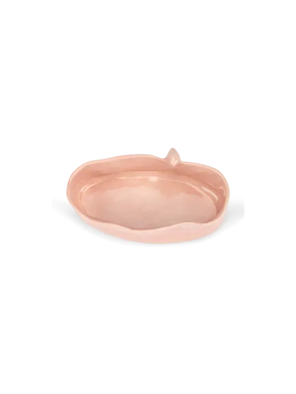 /original/BIRDOVAL_CONS_Pink_3.png_convert-600x800