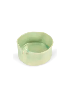 /original/BIRDROUND_CONS_Green_1.png_convert-240x320