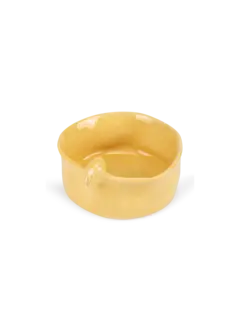 /original/BIRDROUND_CONS_Yellow_1.png_convert-240x320