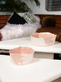 /original/BIRDSALADROUND_CONS_Multi_2.png_convert-240x320