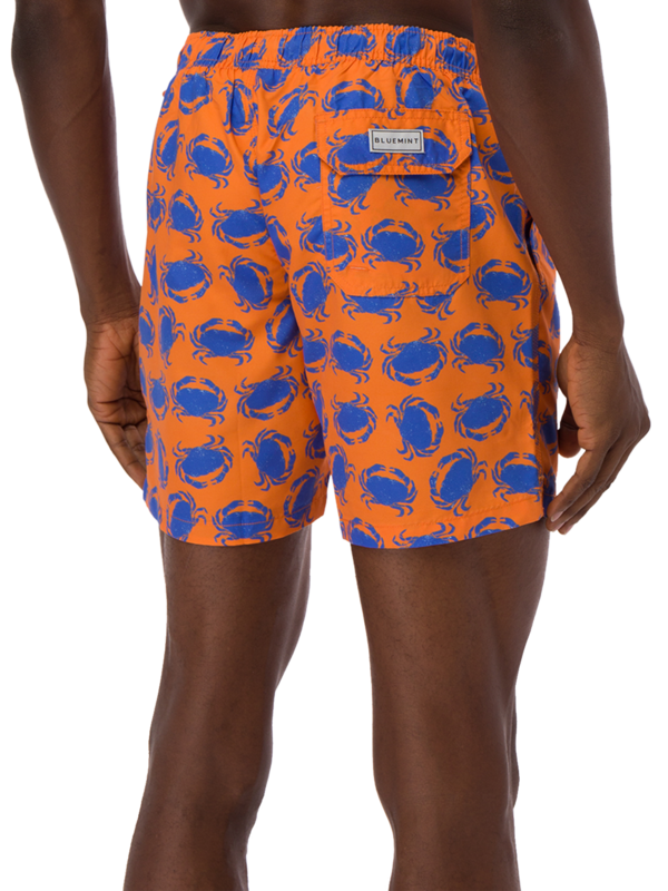Arthus Fern Swim Shorts