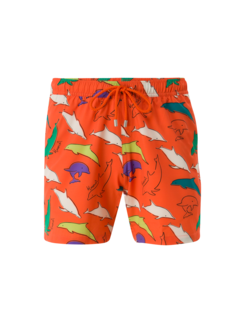 Arthus Fern Swim Shorts