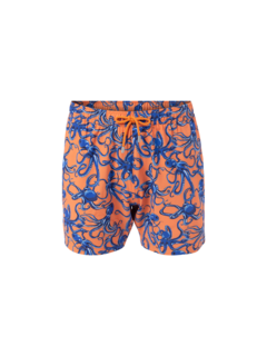 /original/BM22003131MS_BLUM_ORANGE OCT_1.png_convert-240x320