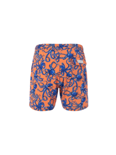 /original/BM22003131MS_BLUM_ORANGE OCT_2.png_convert-240x320