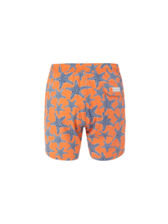 /original/BM22003131MS_BLUM_ORANGE STA_2.png_convert-240x320