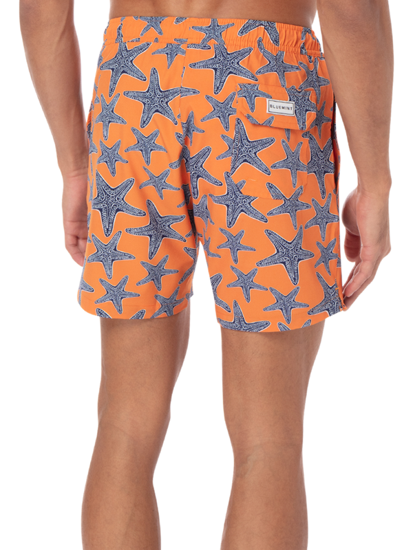 /original/BM22003131MS_BLUM_ORANGE STA_4.png_convert-600x800