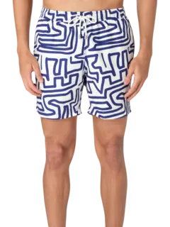 /original/BM24003011MS_BLUM_WhiteMaze_2.png_convert-240x320