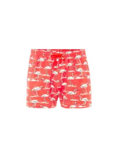 /original/BM26003131MS_BLUM_Red Flamin_1.png_convert-240x320