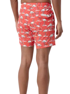 /original/BM26003131MS_BLUM_Red Flamin_3.png_convert-240x320