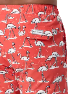 /original/BM26003131MS_BLUM_Red Flamin_5.png_convert-240x320