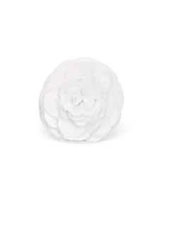 /original/BROOCHECAM_BRNA_1_1.png_convert-240x320