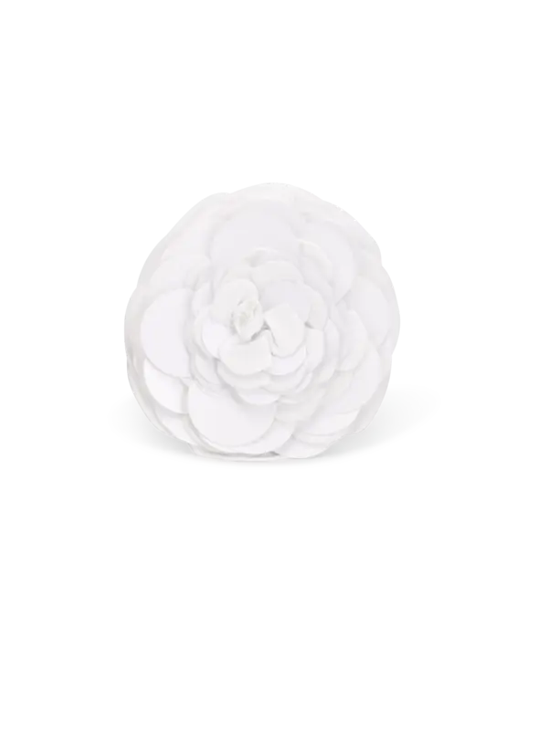 /original/BROOCHECAM_BRNA_1_1.png_convert-600x800