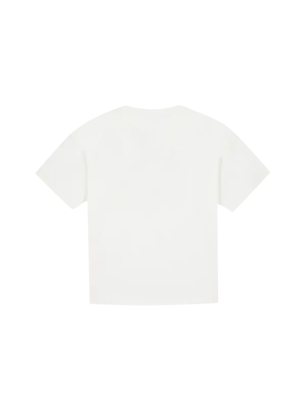 /original/BT_BC10142_TART_110_3.png_convert-600x800