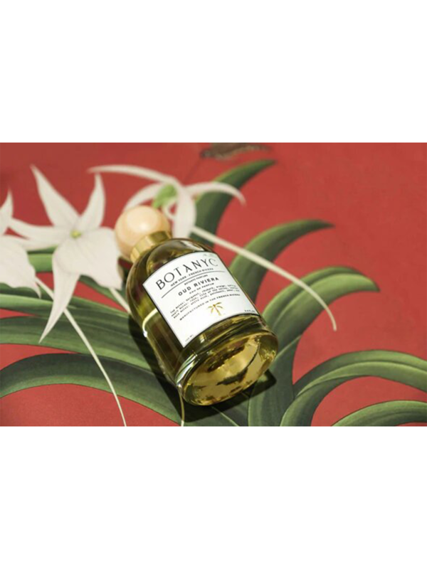 OUD RIVIERA
