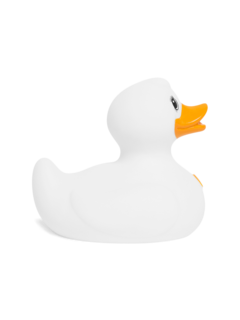 White Fluffy Duck
