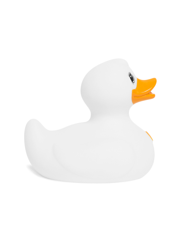 White Fluffy Duck