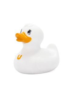 White Fluffy Duck