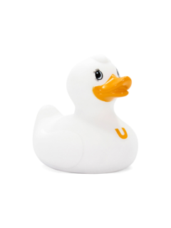 White Fluffy Duck