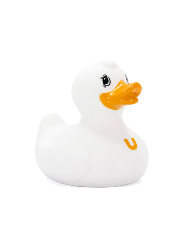 White Fluffy Duck