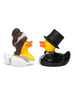 White Bride & Groom Ducks