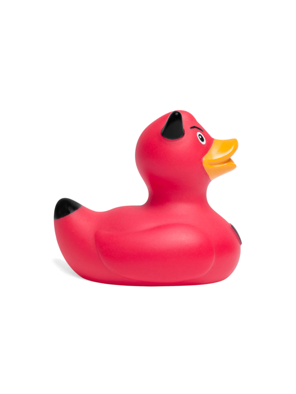 Red Devil Duck