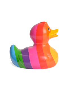Multicolour Rainbow Duck
