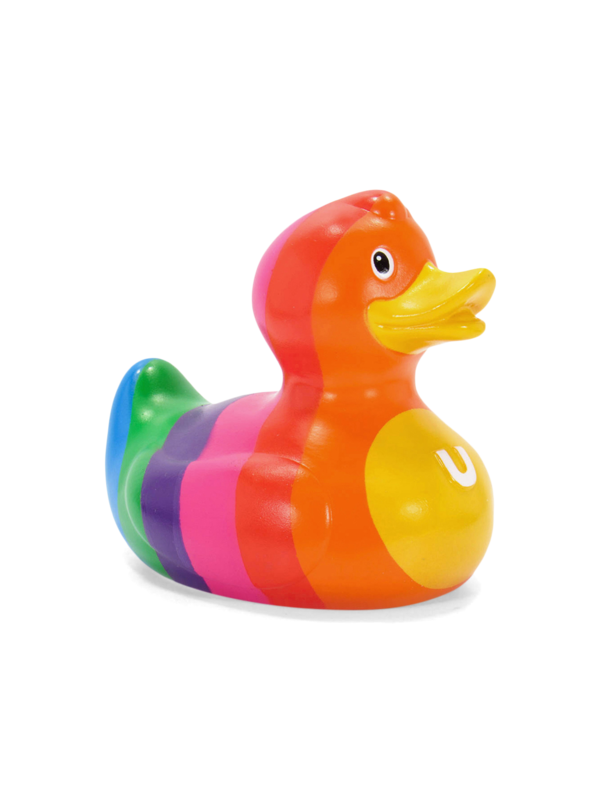 Multicolour Rainbow Duck
