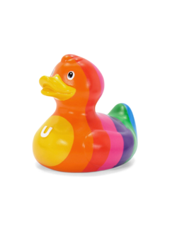 Multicolour Rainbow Duck