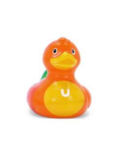 Multicolour Rainbow Duck