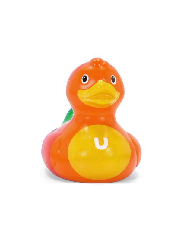 Multicolour Rainbow Duck