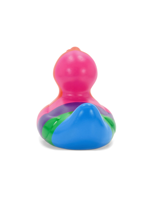 Multicolour Rainbow Duck