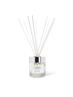 /original/C050-115_TDNG_NA_1.png_convert-240x320