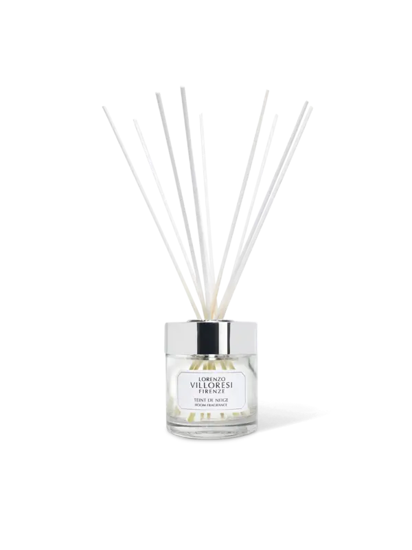 /original/C050-115_TDNG_NA_1.png_convert-600x800