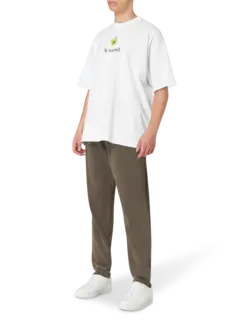 /original/C3170747V13_CLSD_694_2.png_convert-240x320