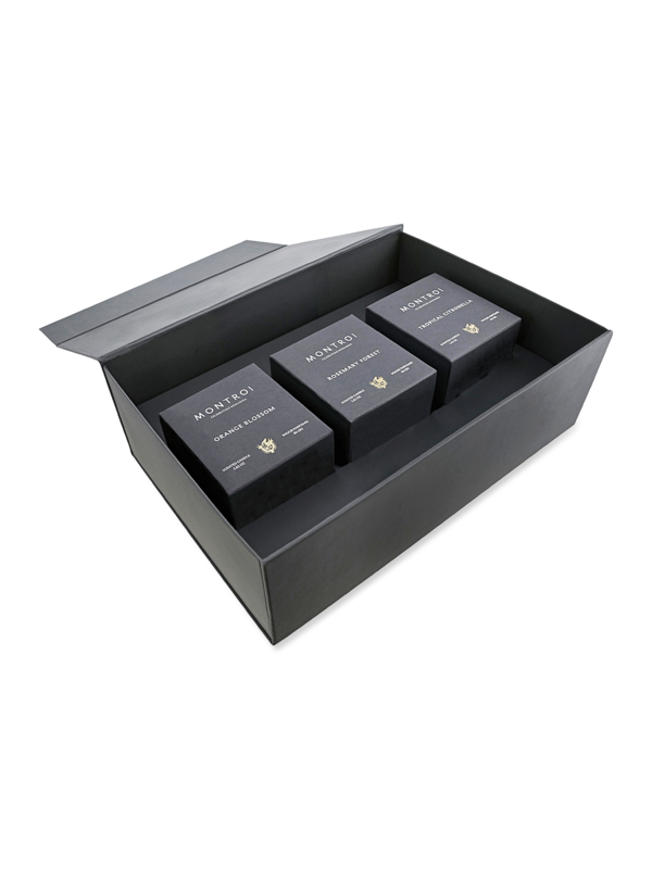 /original/CDL000_CONS_MULTICOLOR_2.png_convert-600x800