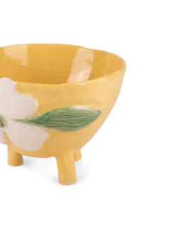 /original/CLOBOWLLEGS_CONS_Yellow_2.png_convert-240x320