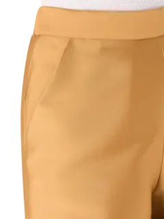 /original/DA25RAM35_DIMA_Camel_4.png_convert-240x320