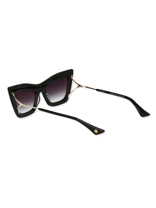Classic black sunglasses